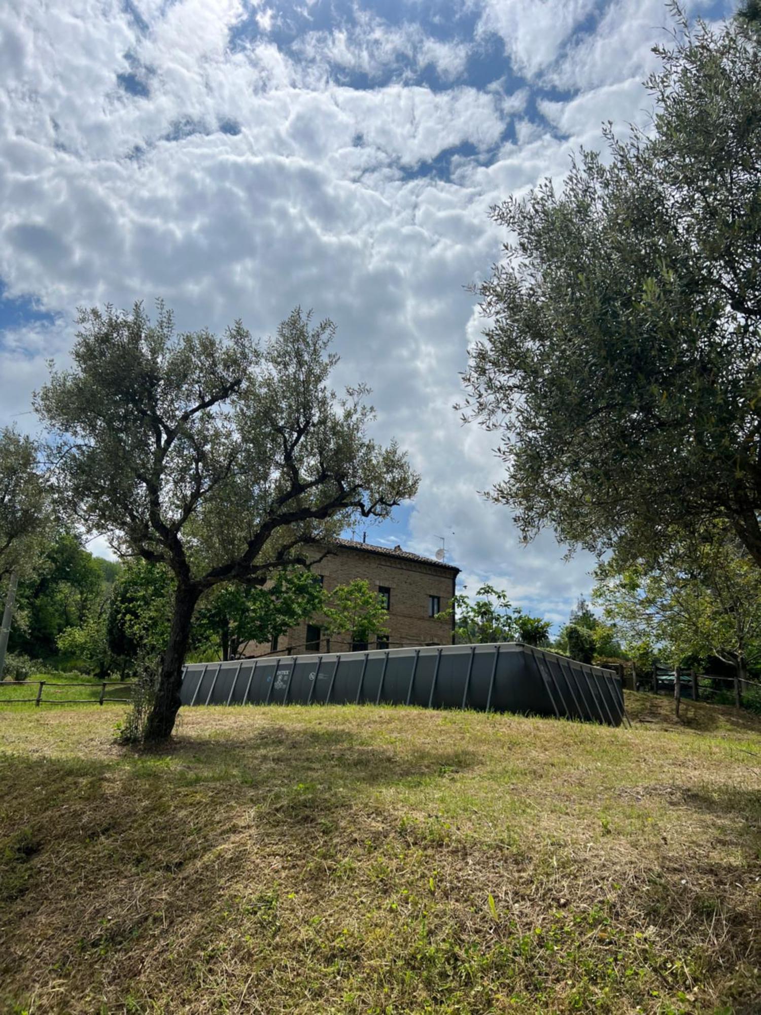 Tenuta Gran Bosco Loro Piceno Екстериор снимка