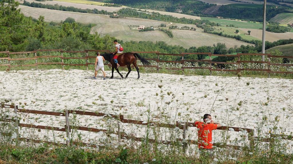 Tenuta Gran Bosco Loro Piceno Екстериор снимка