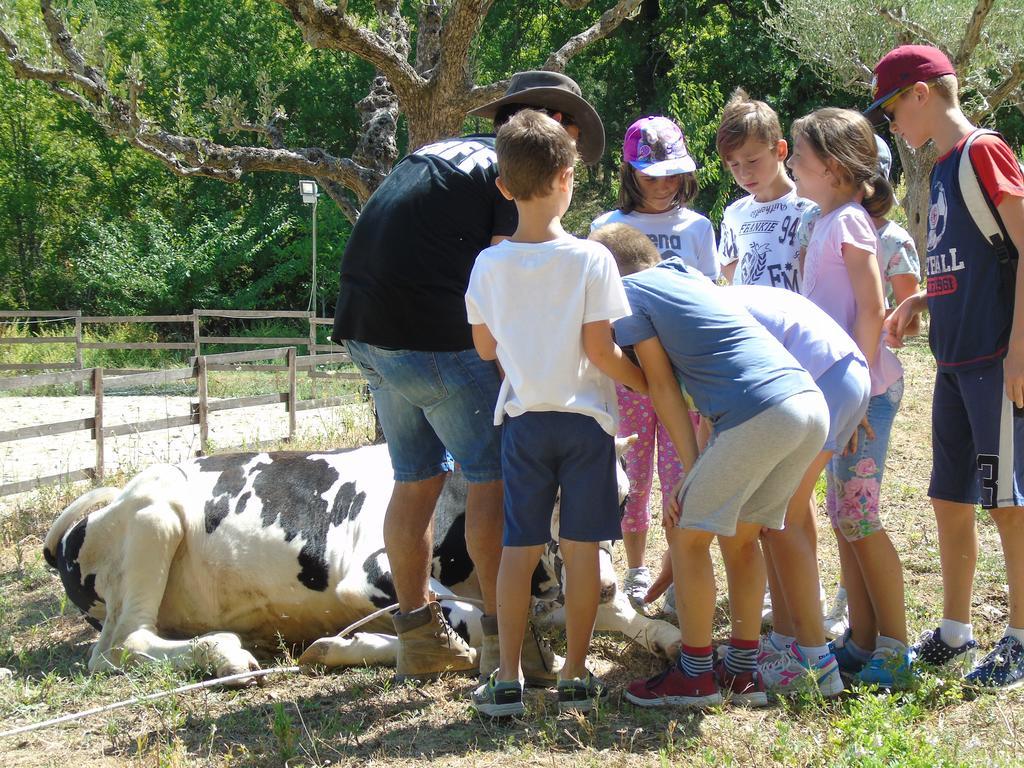 Tenuta Gran Bosco Loro Piceno Екстериор снимка