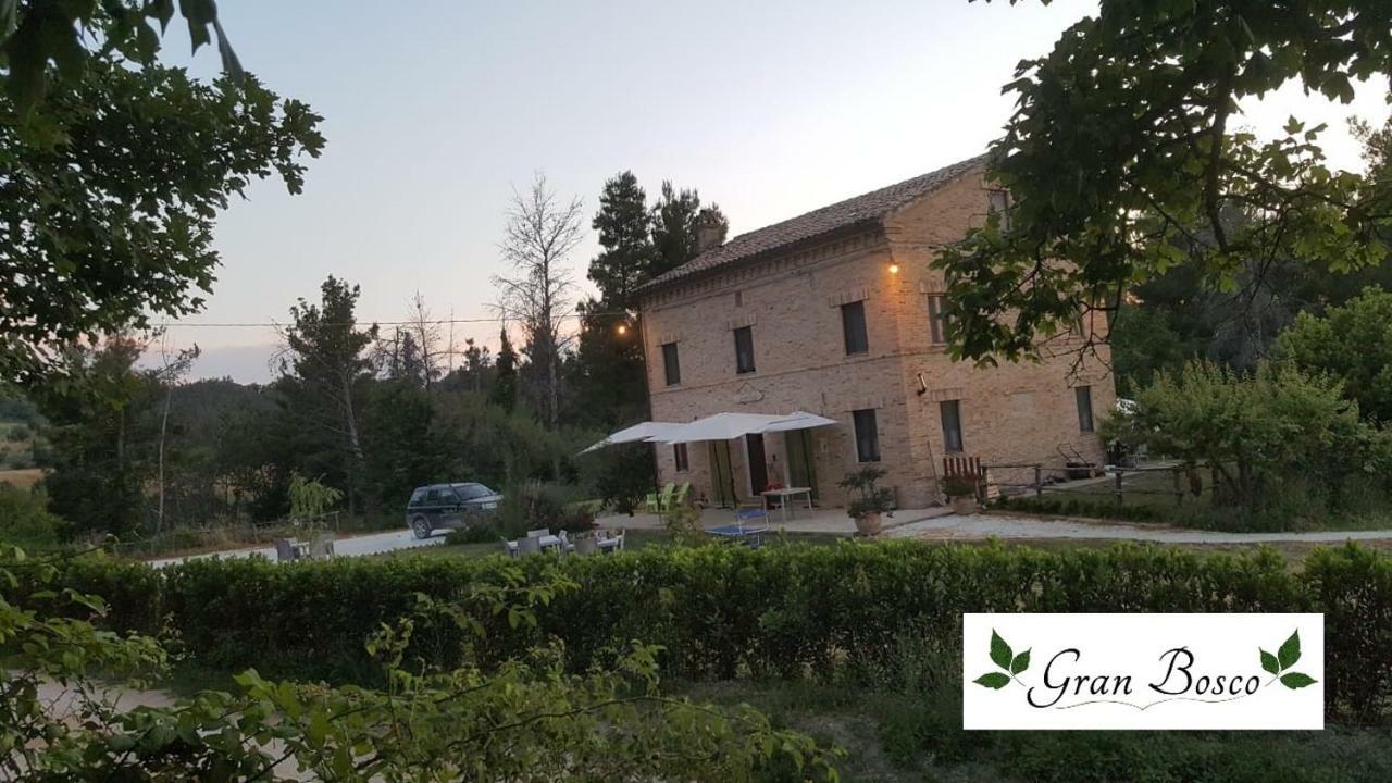 Tenuta Gran Bosco Loro Piceno Екстериор снимка