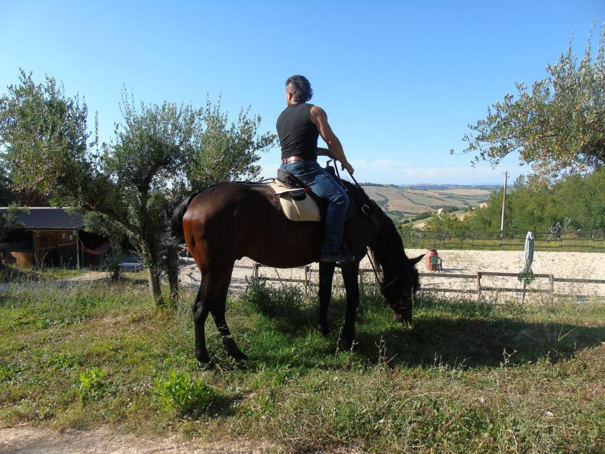 Tenuta Gran Bosco Loro Piceno Екстериор снимка